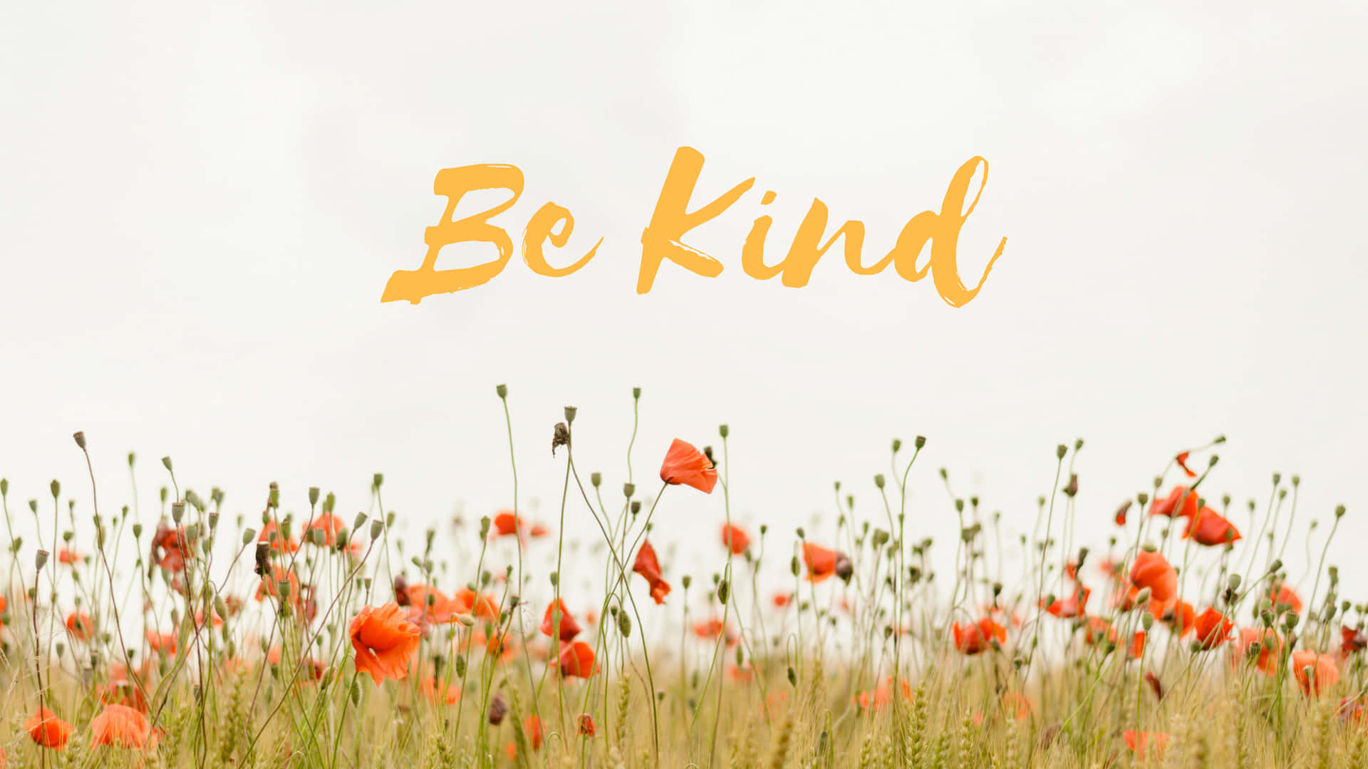 be kind banner